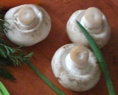 Заготовка грибов в Омской области