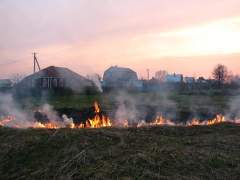Лесные пожары в Омской области
