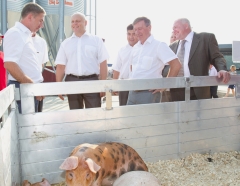 Открытие свиноводческого комплкекса в Омской области