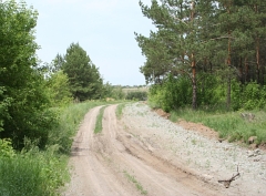 Дороги в Омской области