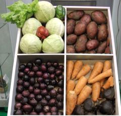 Подорожание овощей на территории Омской области