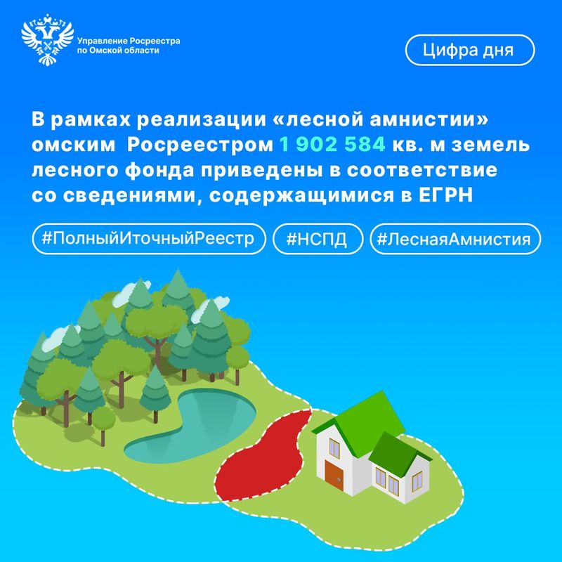 По «лесной амнистии» из ЕГРН исключено почти 200 га задублированной площади в Омской области