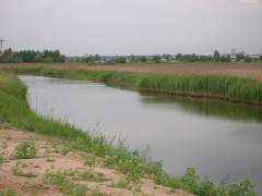 Птичья гавань, Омск, июнь 2010 года