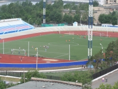 Спортивные площадки в Омске