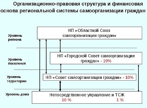 Структура НП "Областной Союз самоорганизации граждан"