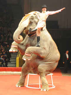 Фото (С) Сайт Омского цирка 